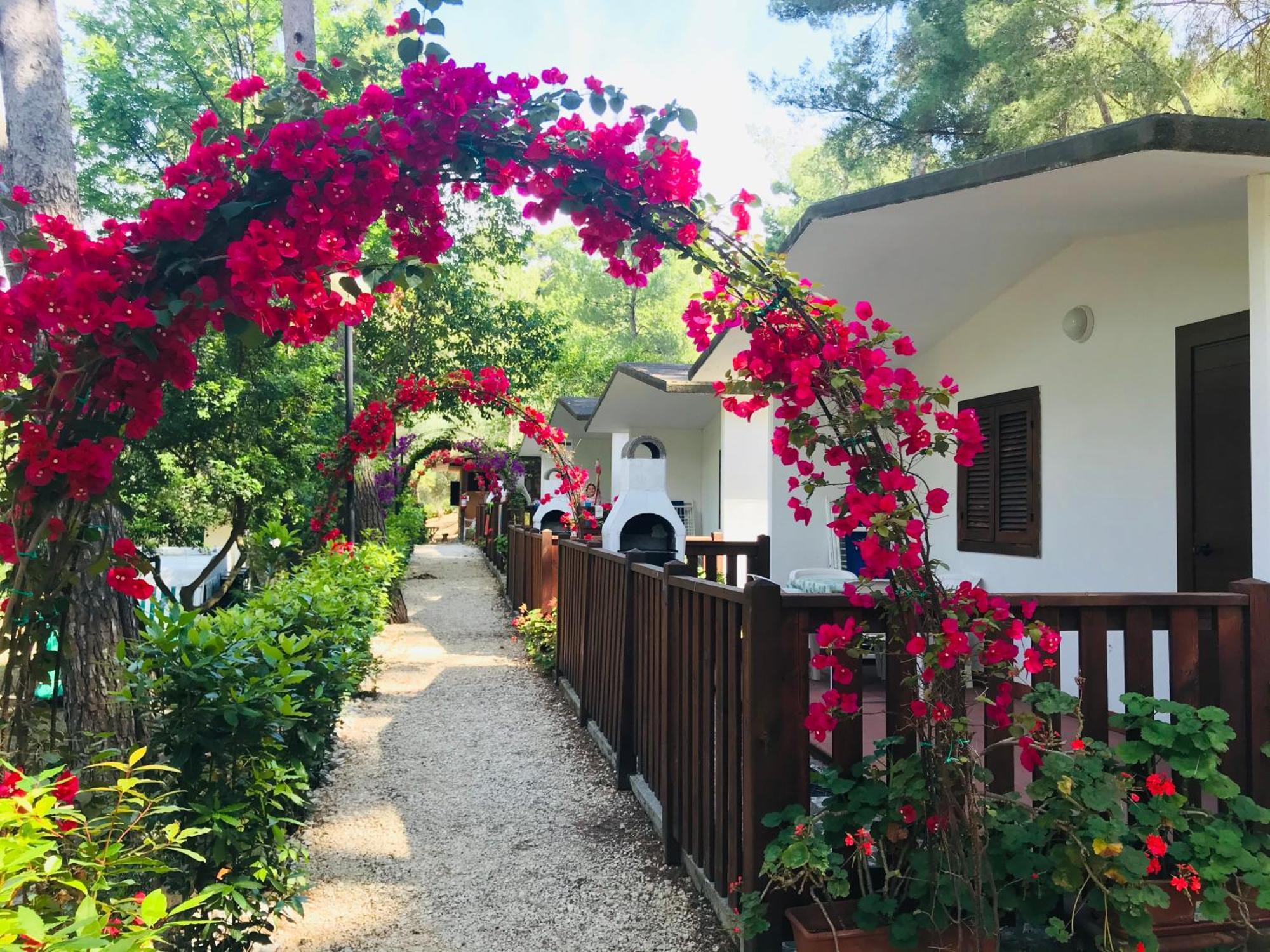 Camping Villaggio Internazionale San Menaio Exterior foto