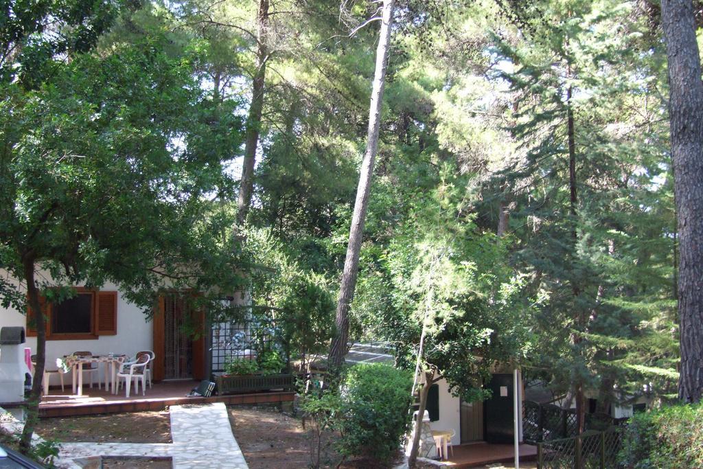 Camping Villaggio Internazionale San Menaio Habitación foto