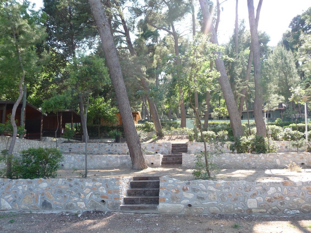 Camping Villaggio Internazionale San Menaio Exterior foto